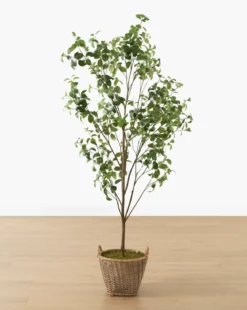 Faux Tangerine Tree