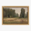 Field in Summer