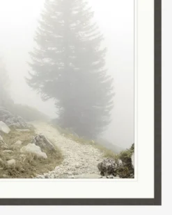 Foggy Mountain I