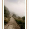 Foggy Path