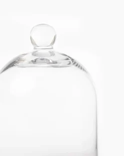 Glass Cloche