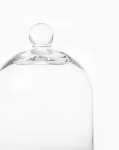 Glass Cloche