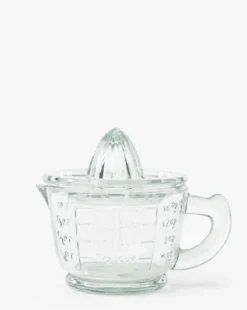 Glass Juicer with Measuring Cup