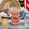 Glass Pitcher in Red & Natural Raffia Sleeve