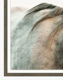 Graying