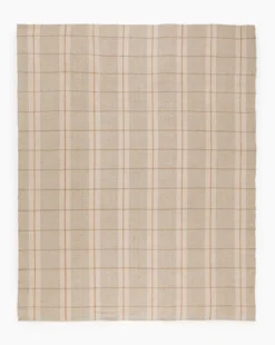 Hanlon Handwoven Indoor/Outdoor Rug