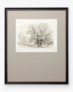 Heathland Oak
