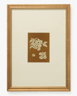 Lace Detail