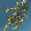 40" Lemon Branch