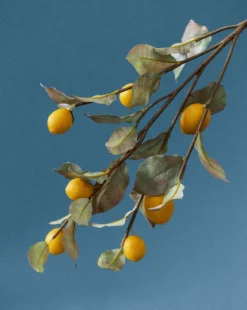 40" Lemon Branch
