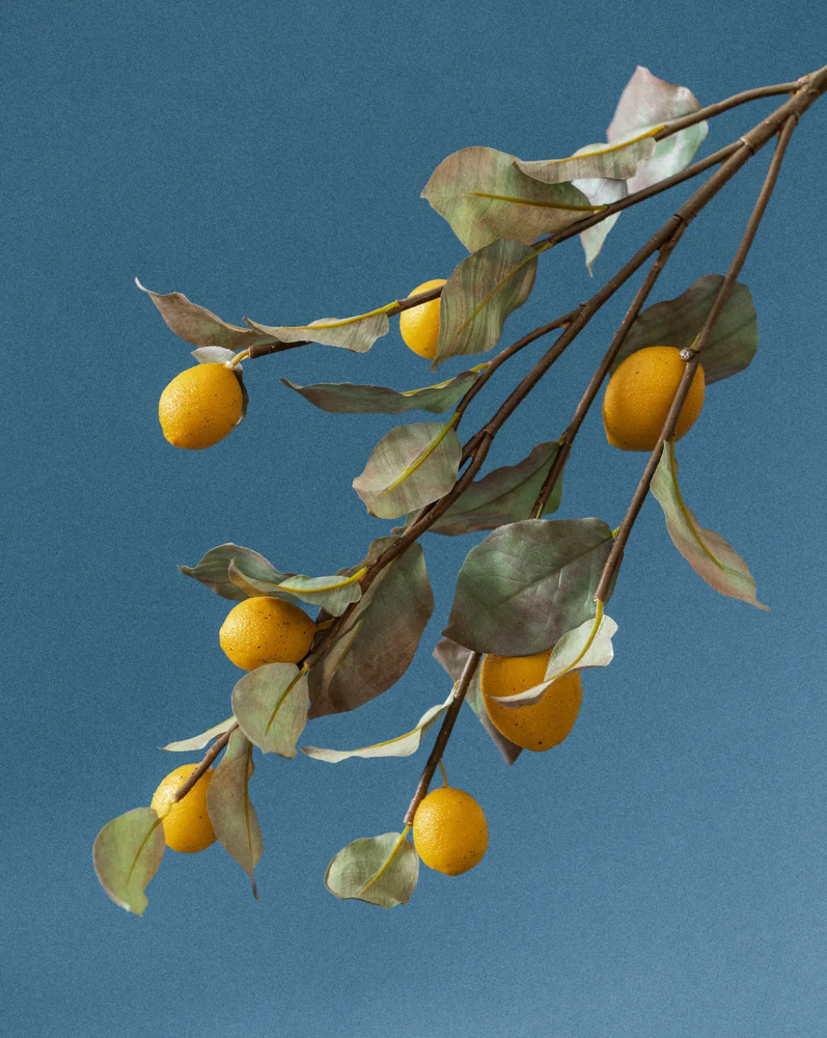 40" Lemon Branch