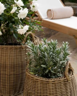 Lightwash Handled Planter Basket