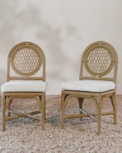 Marisol Indoor/Outdoor Dining Chair (Set of 2)