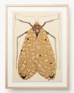 Moth IV By Coup d'Esprit