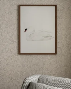 Neutral Swan