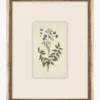 Petite Floral IV