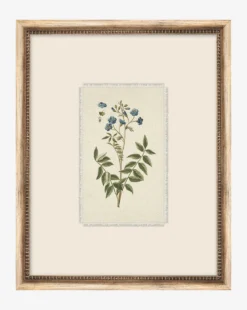 Petite Floral IV