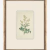 Petite Floral IX