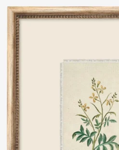 Petite Floral IX