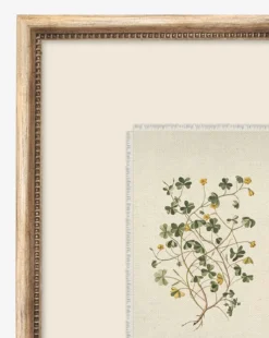 Petite Floral ll