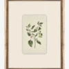 Petite Floral V