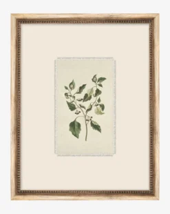Petite Floral V