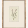 Petite Floral VII