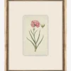 Petite Floral VIII