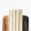 Petrified Wood Bookends (Set of 2)