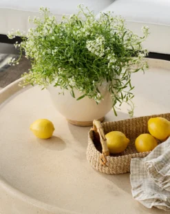 Pierpont Coffee Table