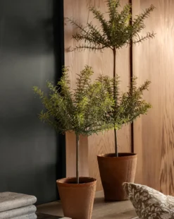 Potted Faux Rosemary Topiary