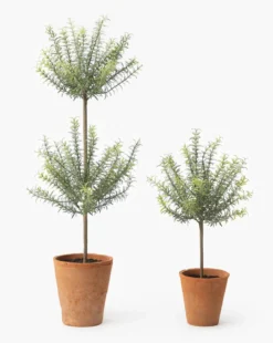 Potted Faux Rosemary Topiary
