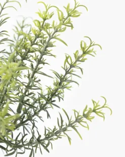 Potted Faux Rosemary Topiary