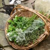 Rattan Gardening Tray