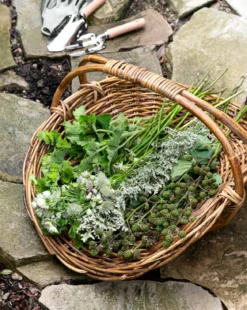 Rattan Gardening Tray
