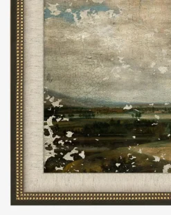 Roaming Fields