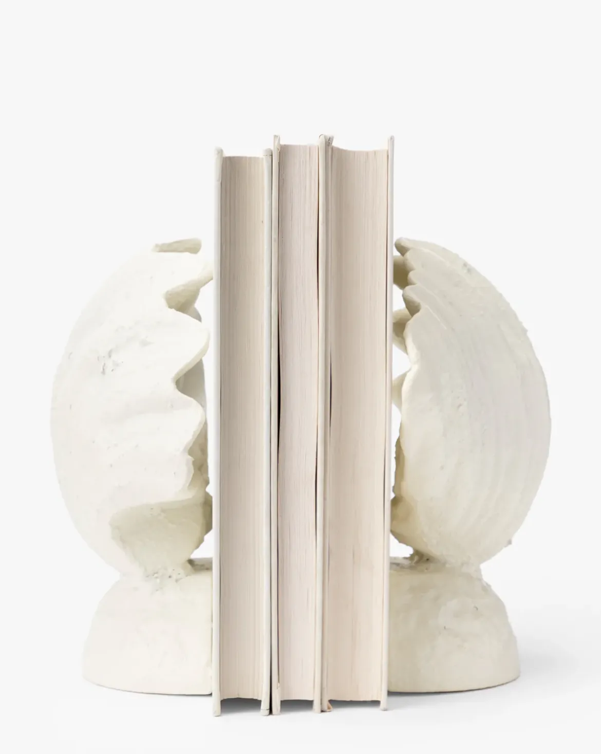 Shell Bookends (Set of 2)