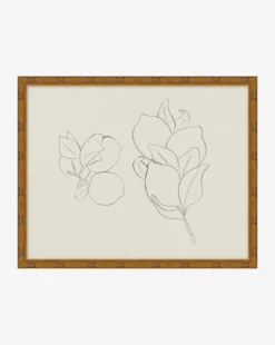 Sketched Fruit II