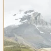 Snow Covered Peaks