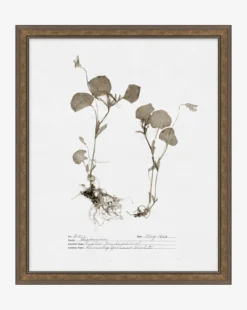 Subdued Botanicals II