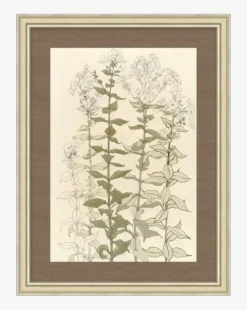 Timeless Sprigs