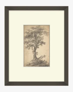 Tree on a Hilltop