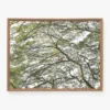 Treetops