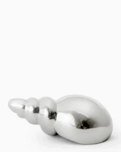 Tulip Shell