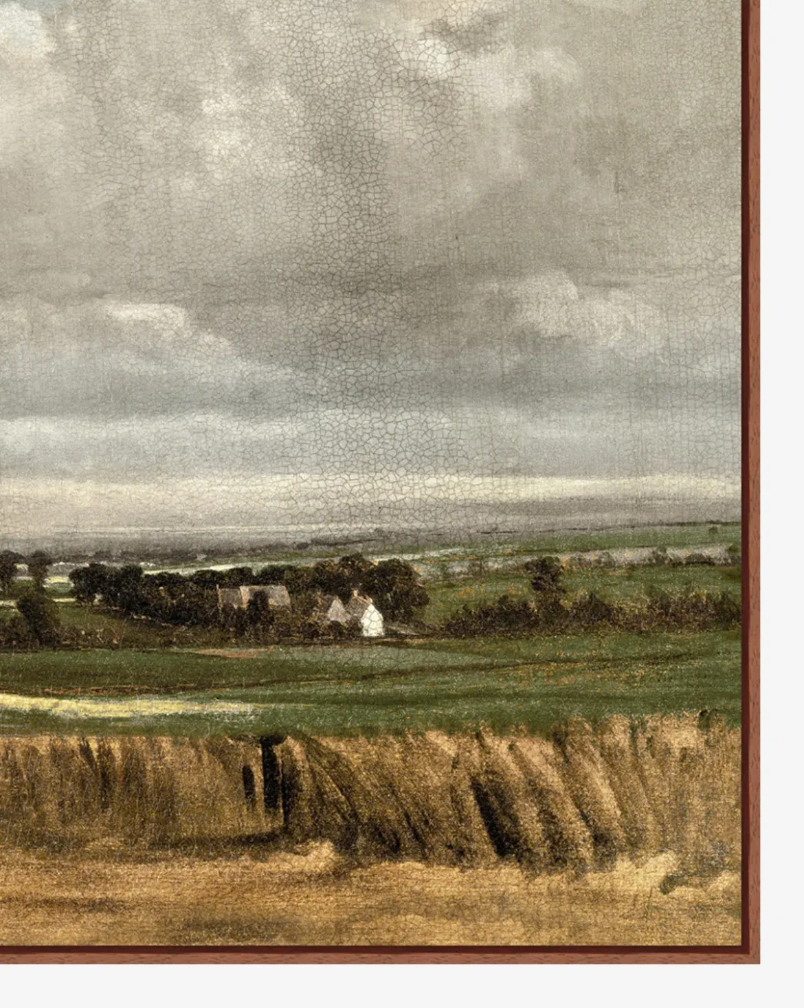 Wheatfield